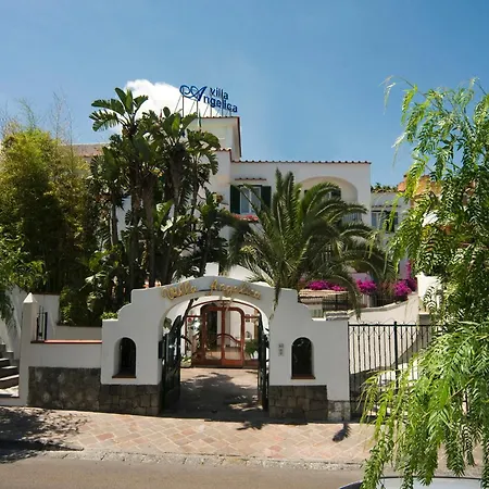 Angelica Lacco Ameno (Isola d'Ischia)